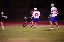 Enlarge photo 169