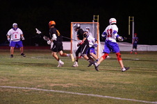 Enlarge photo 203