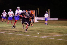 Enlarge photo 214