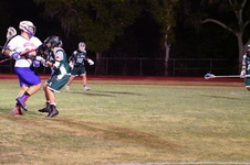 Enlarge photo 35