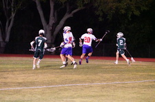 Enlarge photo 151