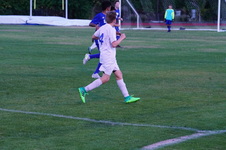 Enlarge photo 78