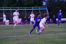 Enlarge photo 148