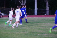 Enlarge photo 167