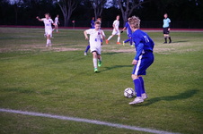 Enlarge photo 232