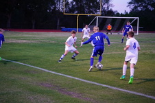 Enlarge photo 239