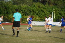 Enlarge photo 96