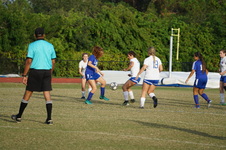 Enlarge photo 97