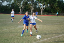Enlarge photo 120