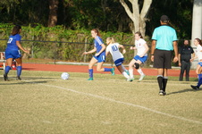 Enlarge photo 161