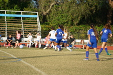 Enlarge photo 163