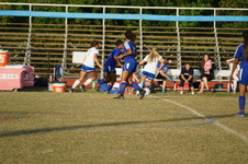 Enlarge photo 168