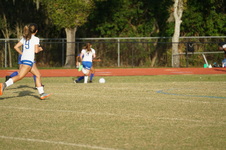Enlarge photo 171