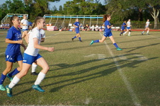 Enlarge photo 229