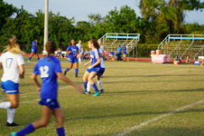 Enlarge photo 254