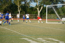 Enlarge photo 351