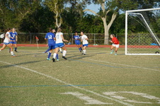 Enlarge photo 354