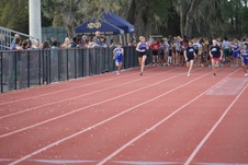 Enlarge photo 72