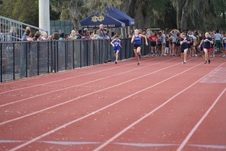Enlarge photo 74