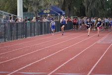 Enlarge photo 77