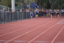 Enlarge photo 78