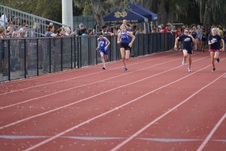 Enlarge photo 83