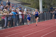 Enlarge photo 93