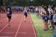 Enlarge photo 110