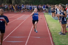 Enlarge photo 116