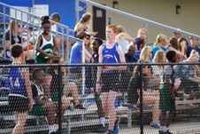 Enlarge photo 121