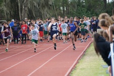 Enlarge photo 130