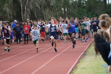 Enlarge photo 131
