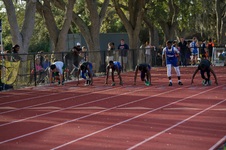 Enlarge photo 184