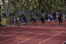 Enlarge photo 185