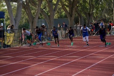 Enlarge photo 187
