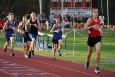 Enlarge photo 313