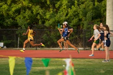 Enlarge photo 370