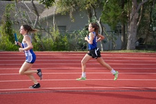 Enlarge photo 84