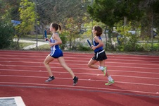 Enlarge photo 88