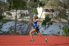 Enlarge photo 138