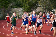 Enlarge photo 194