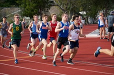 Enlarge photo 195