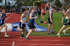 Enlarge photo 198