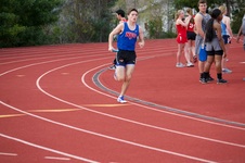 Enlarge photo 227