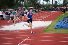 Enlarge photo 238