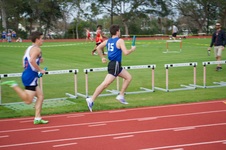 Enlarge photo 241