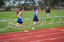 Enlarge photo 242