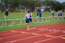 Enlarge photo 245