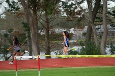 Enlarge photo 304