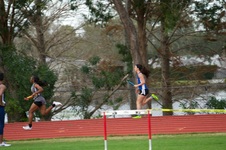 Enlarge photo 305